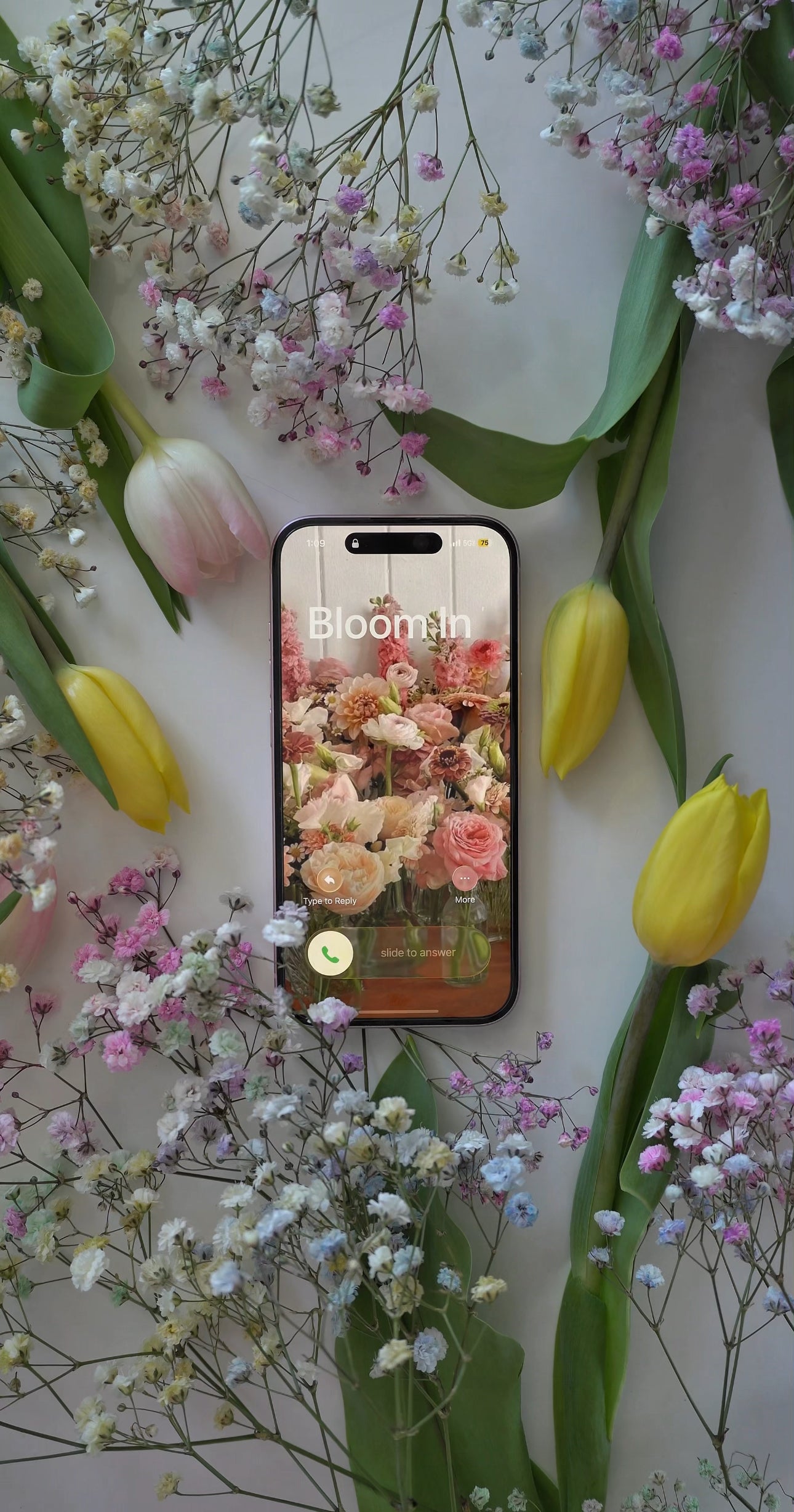 Bloom in the City